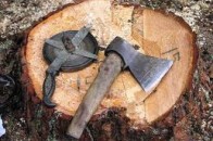 На Волині притягнуто до відповідальності 394 особи за незаконну вирубку лісу