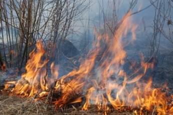 Волинян попереджають про серйозну пожежну небезпеку