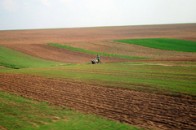 11 тисяч гектарів землі на Волині використовуються без належної документації