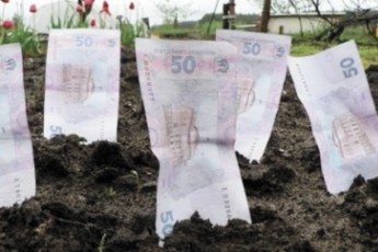 Оренда землі цьогоріч принесла місцевим бюджетам Волині 56 мільйонів гривень