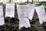 Оренда землі цьогоріч принесла місцевим бюджетам Волині 56 мільйонів гривень