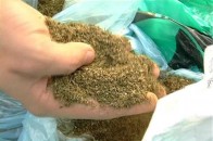 Правоохоронці вилучили у волинянина рекордні 14 кілограм макової соломки