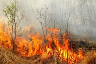 За спалювання стерні волинян оштрафували на 12818 гривень