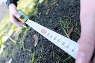 Від продажу земель несільськогосподарського призначення на Волині отримали більше 8 мільйонів