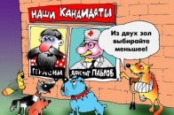 За Володимир-Волинську «мажоритарку» боротимуться любителі шикарних авто