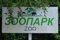 Луцькі депутати вимагають звільнити директора зоопарку