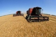 Від втрат сільськогосподарського та лісогосподарського виробництва надійшло 650 тисяч