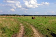На Волині директор сільськогосподарського товариства самовільно зайняв земельні ділянки