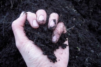 Волинські сільгоспвиробники проти зняття мораторію на продаж землі