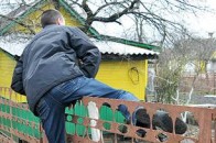 На Волині вже й діти почали красти