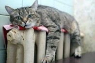 В Луцьку опалювальний сезон перебуває під загрозою