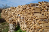 Малозабезпеченим волинським родинам пообіцяли безкоштовні дрова