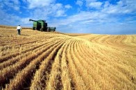 На Волині проходить VІ  Всеукраїнський аграрний  зліт