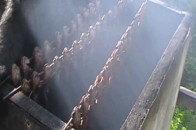Волинянин підпільно заробляв на переробці неякісної риби