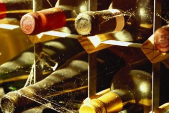 Волинянина спіймали на контрабанді 260 літрів вина