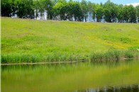 На Волині до кінця року під охороною буде 78% водних об’єктів