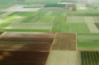 Волинські землевпорядники посилено взялись за інвентаризацію земель за межами населених пунктів