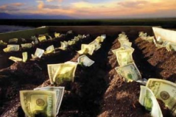 Волиняни приватизували більше 150 тисяч гектарів землі