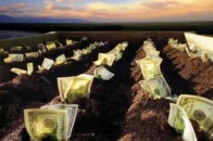 Волиняни приватизували більше 150 тисяч гектарів землі