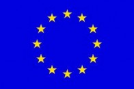 На реалізацію проекту щодо безпритульних тварин в Луцьку виділять 17 тисяч євро