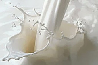 У Кабміні сказали, що за літр молока селянам платитимуть не більше 2,20 гривень