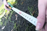 Волинські землевпорядники цьогоріч розроблять схеми землеустрою та техніко-економічного обґрунтування використання і охорони земель