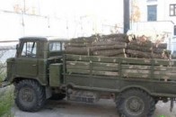 Волинські прикордонники та лісівники затримали нелегальних лісорубів