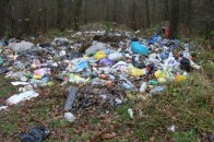 За сприяння волинської прокуратури ліквідовано сміттєзвалище в лісовому масиві