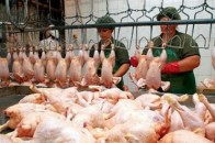 На Волині 40% загального обсягу реалізації промислової продукції припадає на харчову галузь