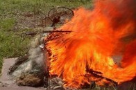 У Луцьку знищили 202 браконьєрських знарядь лову