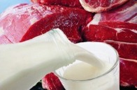 Волинські аграрії повністю забезпечують область м'ясом, молоком та хлібом
