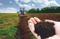 На Волині агроформуванням виплатили 82% орендної плати