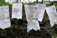 Волинські землевласники отримали з оренди майже 70 мільйонів гривень