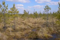 Волинський заповідник набув статусу міжнародного