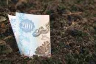 На Волині надходження зі сплати за землю зросли на 11,8 мільйонів гривень
