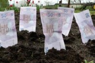Продаж землі приніс волинському бюджету 11 мільйонів гривень
