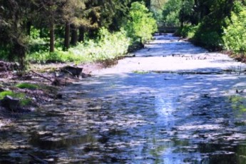 У Луцькому парку очистили майже 2 кілометри меліоративних каналів