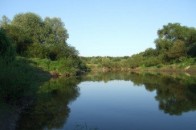 Волинська прокуратура виявила порушення під час перевірки природоохоронного законодавства