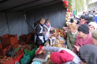 На честь Дня працівників сільського господарства в центрі Луцька працює ярмарка