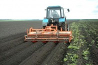 Приріст сільського господарства у жовтні на Волині становив майже 6%