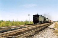 На Волині поїзд на смерть збив чоловіка