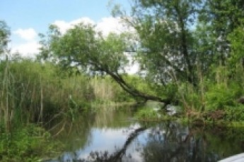 Білорусія передала частину Білоозерської водоживильної системи Волині