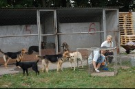 У Луцьку з'явиться ще одне комунальне підприємство