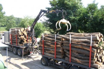 Цьогоріч лісогосподарська промисловість стала найтравматичнішою на Волині
