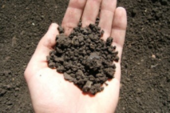 Волинське Держземагенство на освоєння земель використало 1,4 мільйони гривень