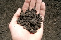 Волинське Держземагенство на освоєння земель використало 1,4 мільйони гривень