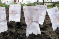 Волиняни можуть заробти за рік 90 мільйонів гривень з оренди землі