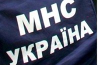 На Волині соціальні патрулі в період Новорічних свят чергуватимуть цілодобово