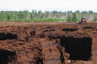 Волинські родовища торфу таки дістались кіпріотам (документи)