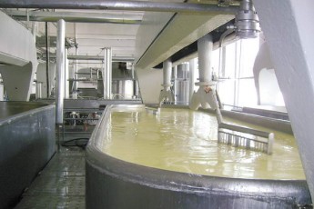 Рожищенський сирзавод боргує селянам 3,1 мільйони гривень за молоко
